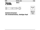 1 x Zylinderschrauben DIN 7984 - 8.8 M24x45