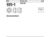 10 x Kronenmuttern DIN 935 -1 6AU M27