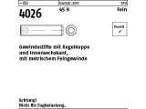 1000 x ISO 4026 Gewindestift mit Kegelkuppe 45H M6x0,5x6