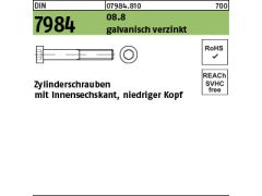 DIN 7984-Zyl.Schr. niedriger Kopf - Pegnitz-Schrauben